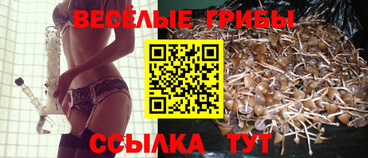 Галлюциногенные грибы Psilocybe  Вход с VPN  Партизанск 