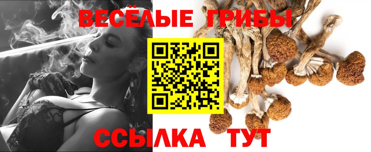 МЕФ Партизанск